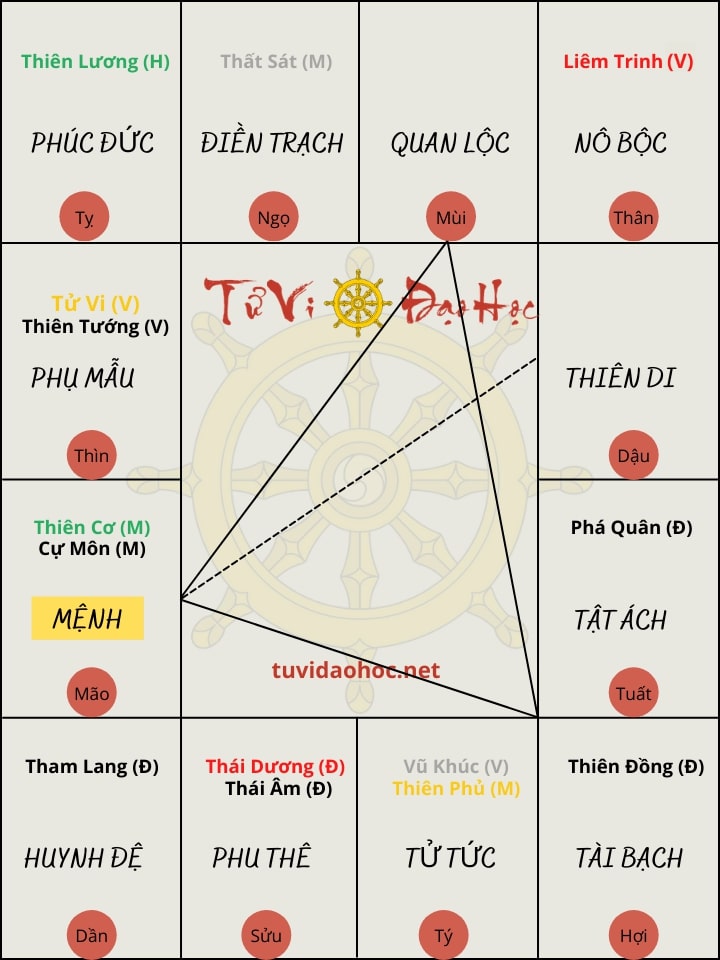 Thiên Cơ Cự Môn Tại Mão
