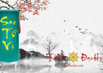 Sao Thiên Lương Sao Tử Vi