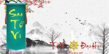 Sao Thiên Lương Sao Tử Vi