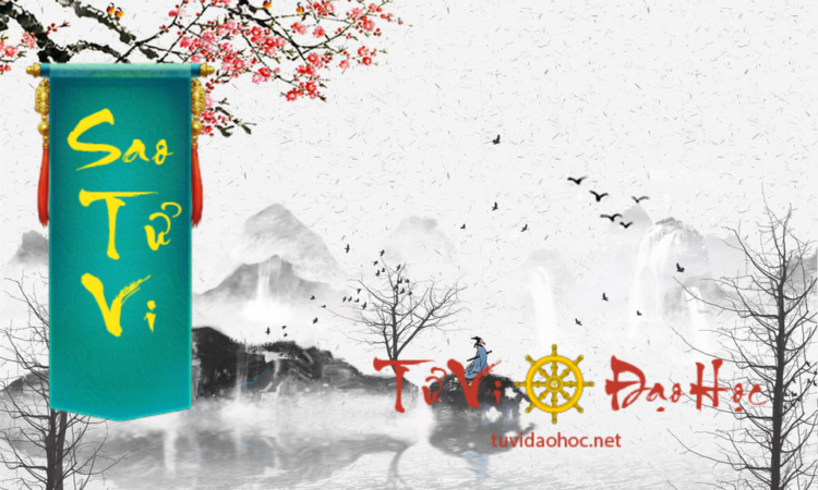 Sao Tử Vi Sao Tử Vi