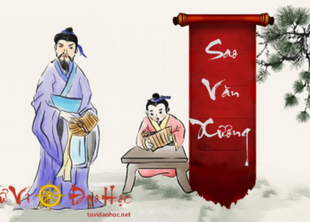 Sao Văn Xương - Ngôi Sao Khoa Bảng, Học Vấn, Thông Minh. Sao Văn Xương