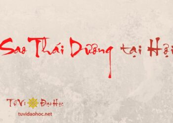 Sao Thái Dương Tại Hợi Sao Thái Dương Tại Hợi
