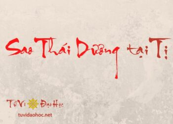 Sao Thái Dương Tại Tị Sao Thái Dương Tại Tị