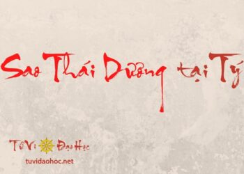 Sao Thái Dương Tại Tý Sao Thái Dương Tại Tý