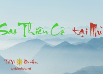Sao Thiên Cơ Tại Mùi Sao Thiên Cơ Tại Mùi