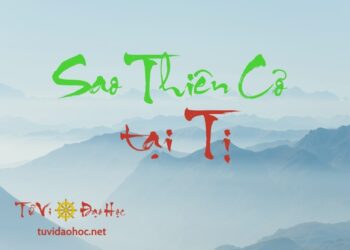 Sao Thiên Cơ Tại Tị Sao Thiên Cơ Tại Tị