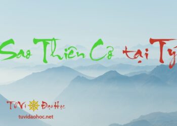 Sao Thiên Cơ Tại Tý Sao Thiên Cơ Tại Tý
