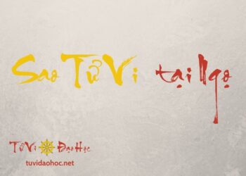 Sao Tử Vi Tại Ngọ Sao Tử Vi Độc Tọa Tại Ngọ