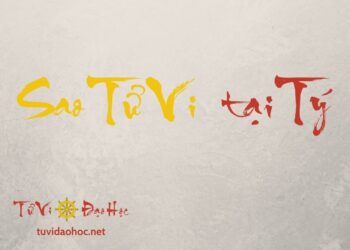 Sao Tử Vi Tại Tý Sao Tử Vi Độc Tạo Tại Tý