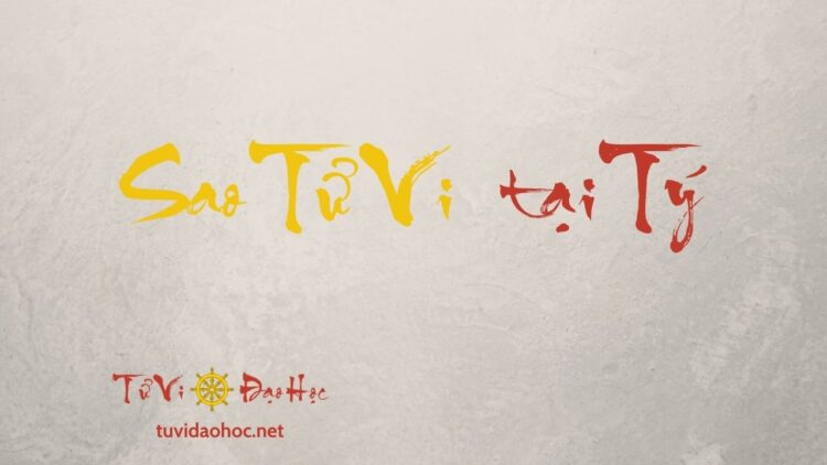 Sao Tử Vi Độc Tạo Tại Tý