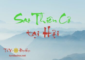 Sao Thiên Cơ Tại Hợi Sao Thiên Cơ Tại Hợi