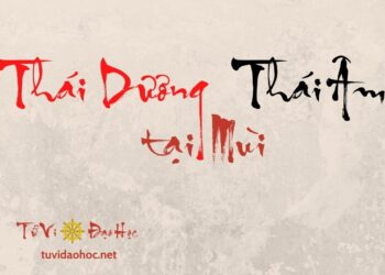 Thái Dương Thái Âm Tại Mùi Thái Dương Thái Âm Tại Mùi