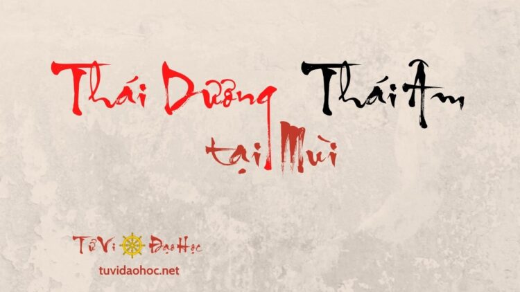 Thái Dương Thái Âm Tại Mùi Thái Dương Thái Âm Tại Mùi