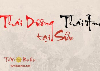 Thái Dương Thái Âm Tại Sửu Thái Dương Thái Dương Tại Sửu