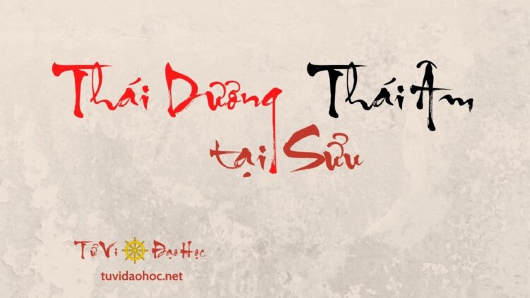 Thái Dương Thái Âm Tại Sửu Thái Dương Thái Dương Tại Sửu