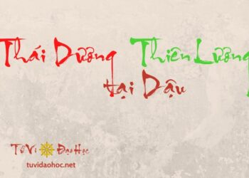 Thái Dương Thiên Lương Tại Dậu Thái Dương Thiên Lương Tại Dậu