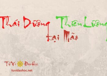 Thái Dương Thiên Lương Tại Mão Thái Dương Thiên Lương Tại Mão