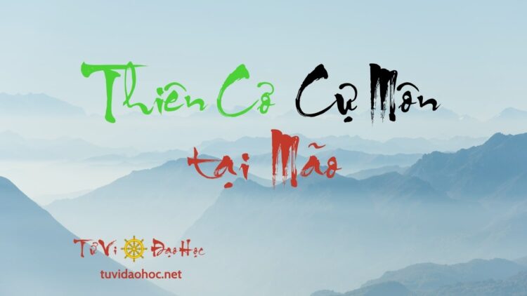 Thiên Cơ Cự Môn Tại Mão