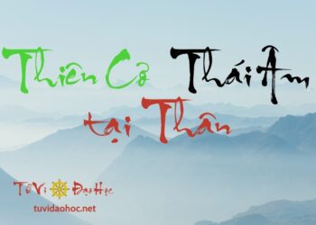 Thiên Cơ Thái Âm Tại Thân Thiên Cơ Thái Âm Tại Thân