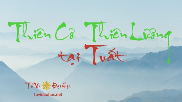 Thiên Cơ Thiên Lương Tại Tuất