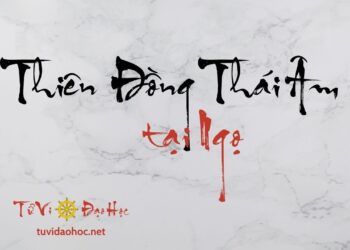 Thiên Đồng Thái Âm Tại Ngọ Thiên Đồng Thái Âm Tại Ngọ