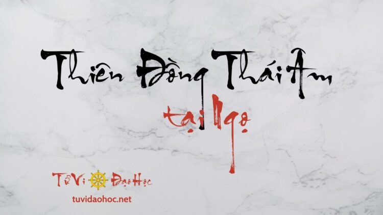 Thiên Đồng Thái Âm Tại Ngọ Thiên Đồng Thái Âm Tại Ngọ