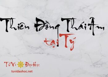 Thiên Đồng Thái Âm Tại Tý Thiên Đồng Thái Âm Tại Tý