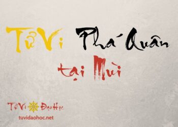Tử Vi Phá Quân Tại Mùi Tử Vi Phá Quân Tại Mùi