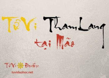 Tử Vi Tham Lang Tại Mão Tử Vi Tham Lang Tại Mão