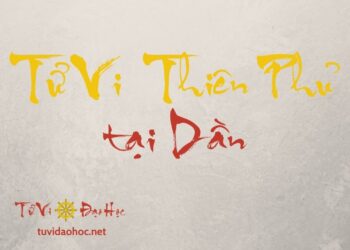 Tử Vi Thiên Phủ Tại Dần Mệnh Sao Tử Vi Thiên Phủ Tại Dần