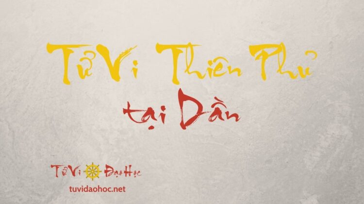 Tử Vi Thiên Phủ Tại Dần Mệnh Sao Tử Vi Thiên Phủ Tại Dần