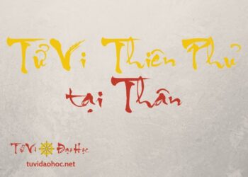 Tử Vi Thiên Phủ Tại Thân Tử Vi Thiên Phủ Tại Thân