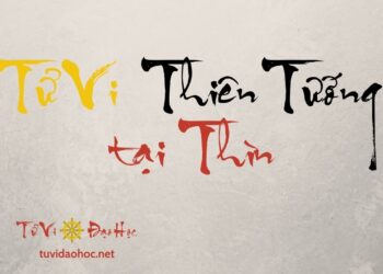 Tử Vi Thiên Tướng Tại Thìn Tử Vi Thiên Tướng Tại Thìn