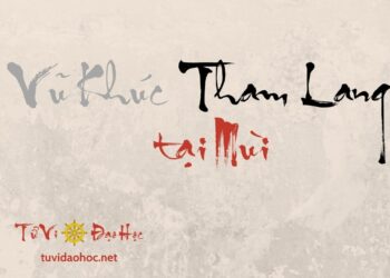 Vũ Khúc Tham Lang Tại Mùi Vũ Khúc Tham Lang Tại Mùi