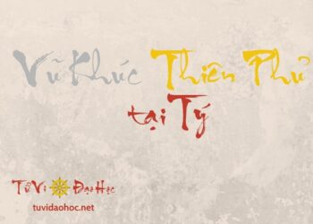 Vũ Khúc Thiên Phủ Tại Tý Vũ Khúc Thiên Phủ Tại Tý