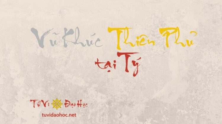 Vũ Khúc Thiên Phủ Tại Tý Vũ Khúc Thiên Phủ Tại Tý